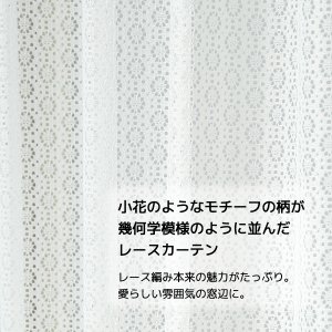 画像3: 「カーテン生地のみ販売」小花柄モチーフドット柄のレースカーテン 4316ホワイト　生地巾約150cm 【1cm単位の価格です】