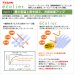 画像3: ★【送料無料】夜も外から見えにくい・断熱省エネ・UVカットカフェカーテン ロフティーズ 巾145ｘ高さ50・60・75・90・100・120ｃｍ【在庫品】1枚入 メール便可(1枚まで) (3)