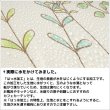 画像3: ★送料無料 カフェカーテン はっ水加工 外から見えない お風呂場 浴室 目隠し プライバシー保護 遮像 おしゃれ プリント柄  巾(幅)145×高さ45・75・100cm丈 1枚入【在庫品】メール便可(1枚まで) (3)