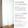 画像10: ★送料無料 カフェカーテン レース ふわふわ生地 裾トリムつき 外から見えにくい 遮像 小窓 UVカット 紫外線カット 『ピクシー』ホワイト ウェーブロン おしゃれ 巾(幅)142cm 1枚入【在庫品】メール便可(1枚まで) (10)