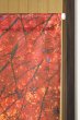 画像3: ★のれん 32046「富士山と紅葉」 巾85×高さ150cm【在庫品】 ノレン 暖簾 富士山 紅葉 湖 柄プリント メール便可(1枚まで) (3)