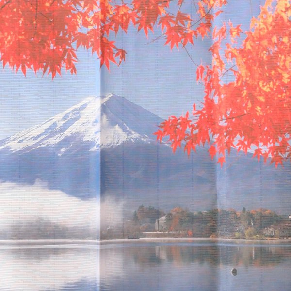 画像8: ★のれん 32046「富士山と紅葉」 巾85×高さ150cm【在庫品】 ノレン 暖簾 富士山 紅葉 湖 柄プリント メール便可(1枚まで) (8)