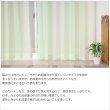 画像5: ★送料無料 レースカーテン 訳あり アウトレット 1枚入り グラデーションカラー カラフル 色付きレース 幅100cm×高さ(丈)133・176・198cm 1枚入り 既製品 均一価格 幅100センチ【在庫品】 (5)
